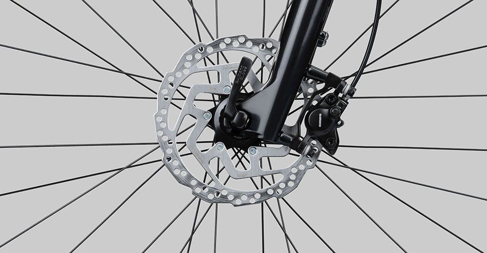 Scart Light 9.0 Lady 6 Scart Light 9.0 Lady – Image 6