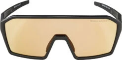 Alpina Ram Q-Lite V - Lunettes De Sport -Meilleur Vélos Magasin Alpina Alpina Ram HVLM Sportbrille A8672031 3
